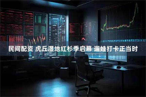 民间配资 虎丘湿地红杉季启幕 遛娃打卡正当时