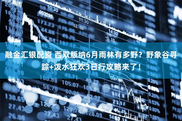 融金汇银配资 西双版纳6月雨林有多野？野象谷寻踪+泼水狂欢3日行攻略来了！