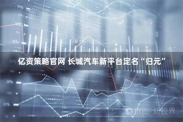 亿资策略官网 长城汽车新平台定名“归元”